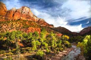 Zion Canyon-4069.jpg